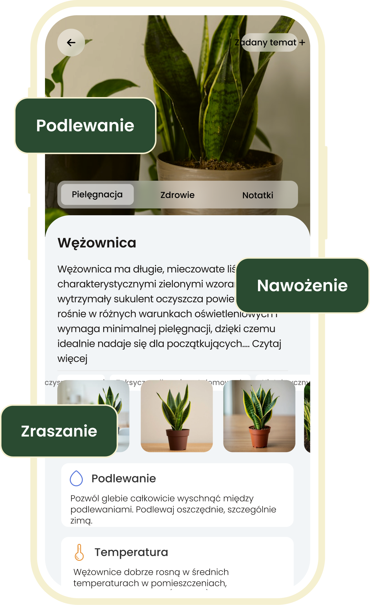 Spersonalizowany plan pielęgnacji roślin w aplikacji Plant ID
